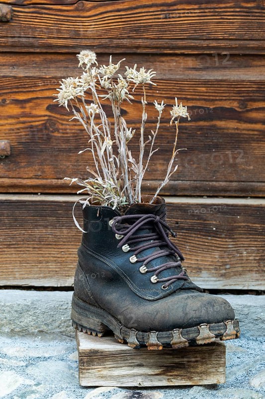Old hiking boot with edelweiss, decoration, Guarda, Engadin, Graubünden, Switzerland