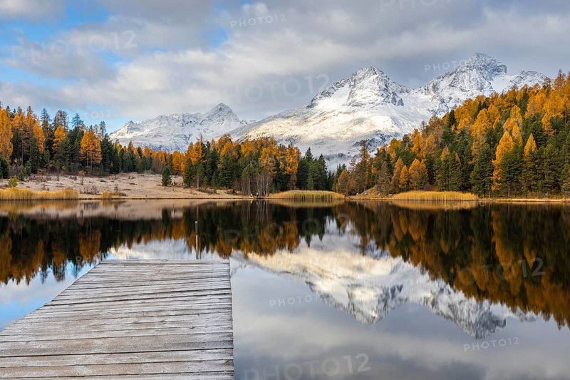 Lake Stazer in front of mountain peaks with snow, mixed forest with larch (Larix) in autumn, wooden walkway, reflection, autumn, Piz Albana, Piz Julier, Piz Nair, Piz Polaschin, Celerina/Schlarigna, Engadin, Graubünden, Switzerland