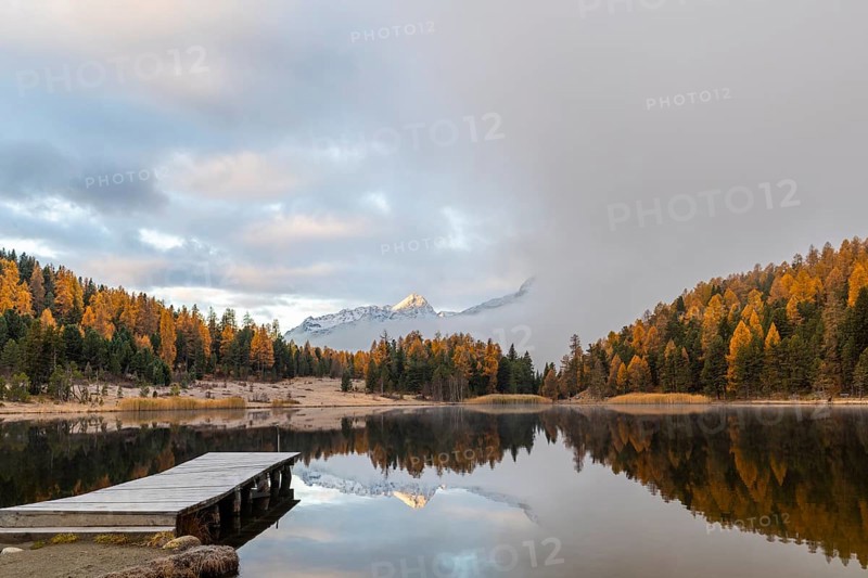 Lake Staz against mountain backdrop, mountain lake, mixed forest with larch (Larix) in autumn, mountain peaks with snow, reflection, Piz Albana, Piz Polaschin, wooden walkway, fog, autumn, Celerina/Schlarigna, Engadin, Grisons, Switzerland