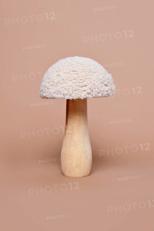 Single wooden and textile decorative mushroom object on beige background