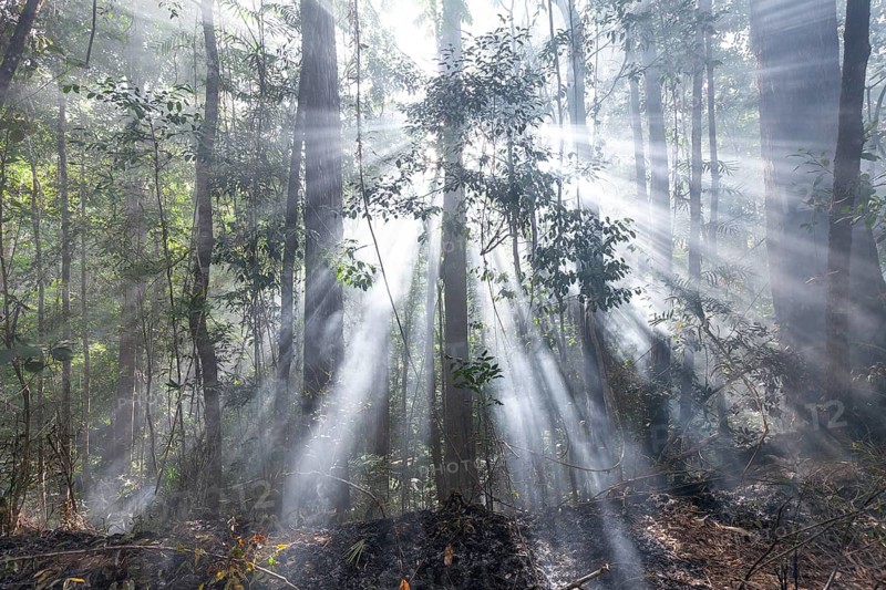 Preventive burning to prevent fires in the hot bushland of Queensland Australia
