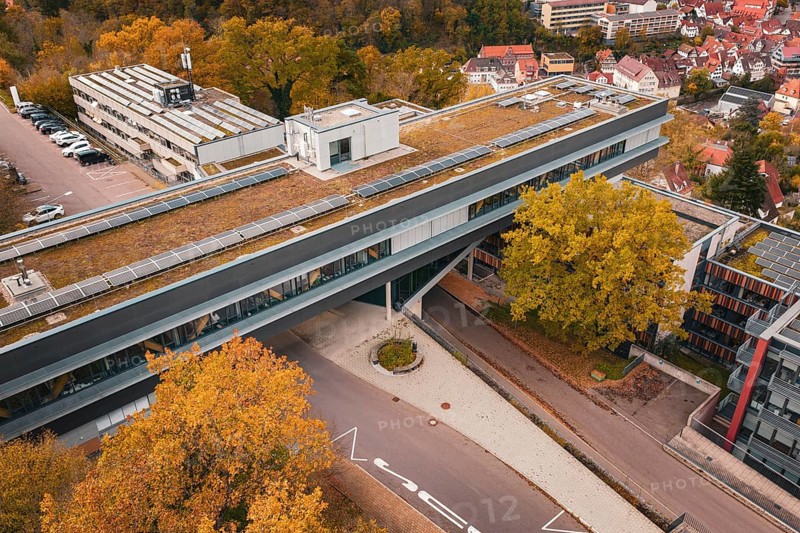 Roof view of a modern building with solar panels and surrounding autumn trees, Calw District Office, Calw, Germany