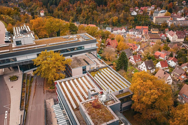 Aerial view of buildings with distinctive roofs and autumn-colored landscape, Calw District Office, Calw, Germany