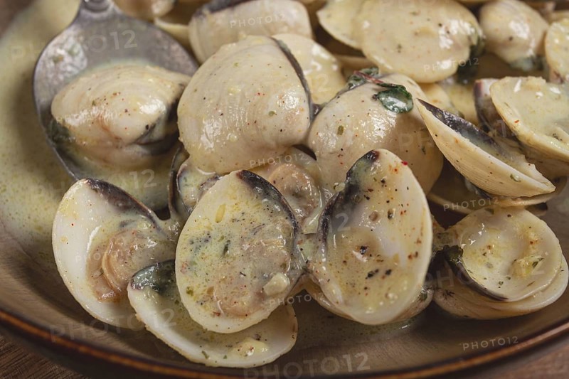 Vongole clams, in cream sauce, homemade, top view, no people