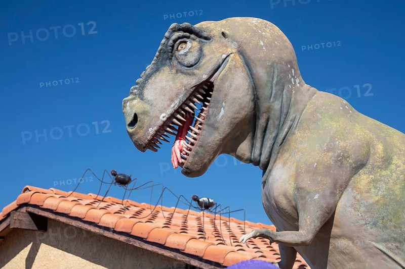 Henderson, Nevada - Dinosaurs dominate the yard of a house in suburban Las Vegas, placed there by retired school teacher Steve Springer