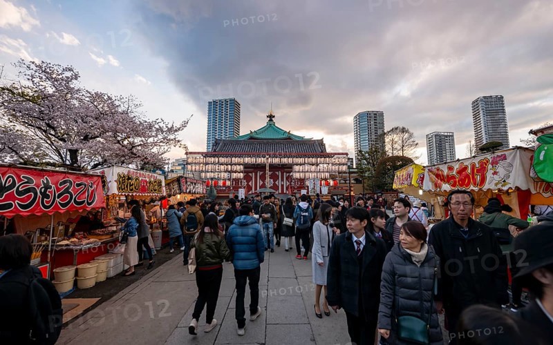 Shinobazunoike Bentendo Temple, food stalls selling Japanese food, cherry blossoms in spring, Hanami Festival, Ueno Park, Taito City, Tokyo, Japan