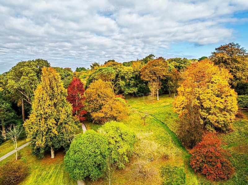 Autumn colours over Bodnant House and Garden from a drone, Conwy River, Colwyn Bay, Conwy, Wales, England, United Kingdom