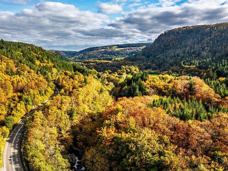 DeAutumn colours over Gwydir Forest Park from a drone, Afon Lledr, Road A470, Snowdonia, Eryri, Wales, Englandfault