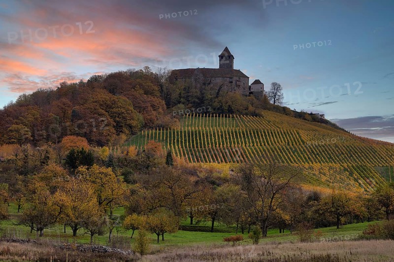 Lichtenberg Castle, Oberstenfeld, Bottwartal, Löwensteiner Mountains, vineyard, vines, viticulture, graphic, autumn colors, autumn, dusk, Baden-Württemberg, Germany