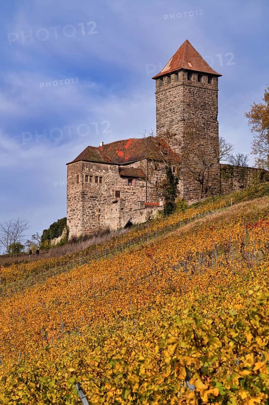 Keep, tower, Lichtenberg Castle, Oberstenfeld, Bottwartal, Löwensteiner Mountains, vineyard, vines, vines, viticulture, autumn colors, autumn, Baden-Württemberg, Germany