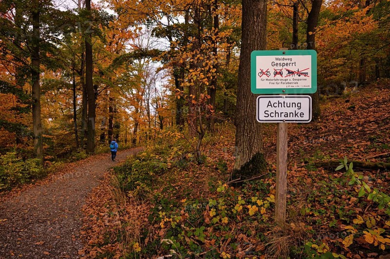 Sign, forest trail, closed to vehicles, hikers, Oberstenfeld, Bottwartal, Löwensteiner Berge, autumn colors, autumn, Baden-Württemberg, Germany