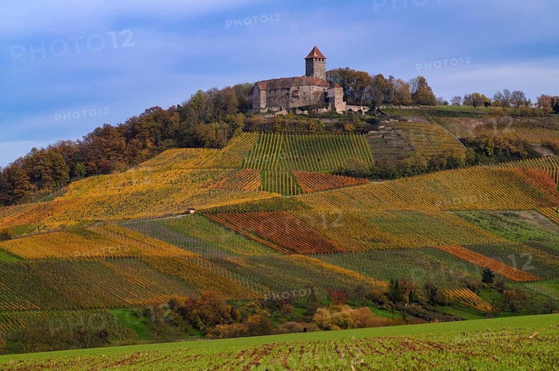 Lichtenberg Castle, Oberstenfeld, Bottwartal, Löwensteiner Mountains, vineyard, vines, viticulture, graphic, autumn colors, autumn, Baden-Württemberg, Germany