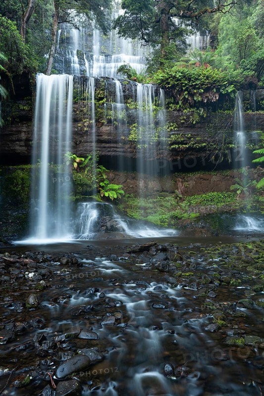 Russell Falls. Australia's most beautiful waterfall in the green Tasmanian forest, between ferns and eucalyptus in Mount Field National Park