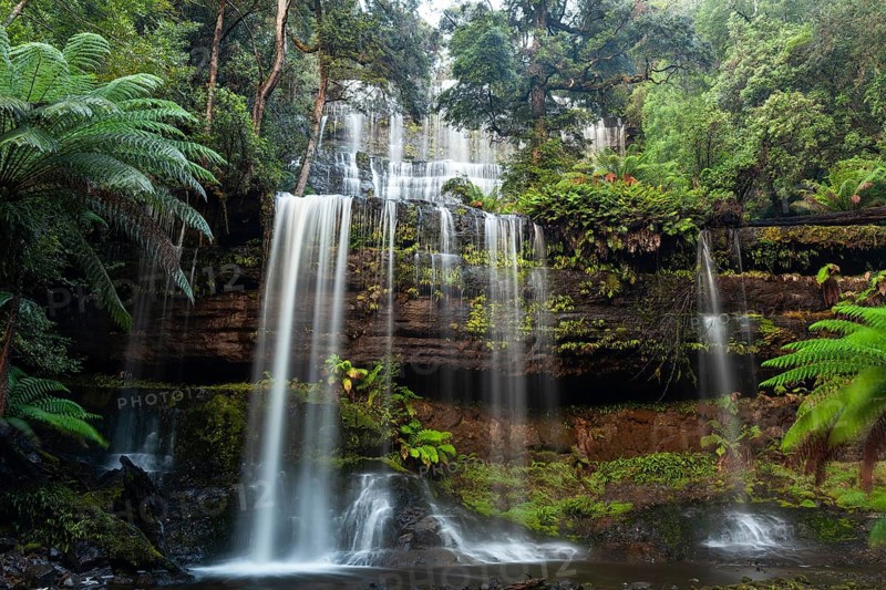 Russell Falls. Australia's most beautiful waterfall in the green Tasmanian forest, between ferns and eucalyptus in Mount Field National Park