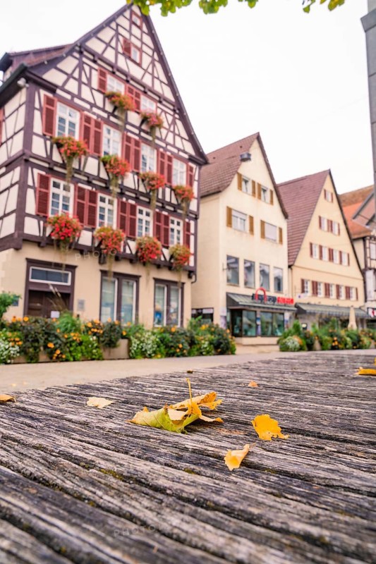 Traditional half-timbered houses with flower boxes and autumn leaves on a wooden bench in an old town, Nagold, Black Forest, Germany