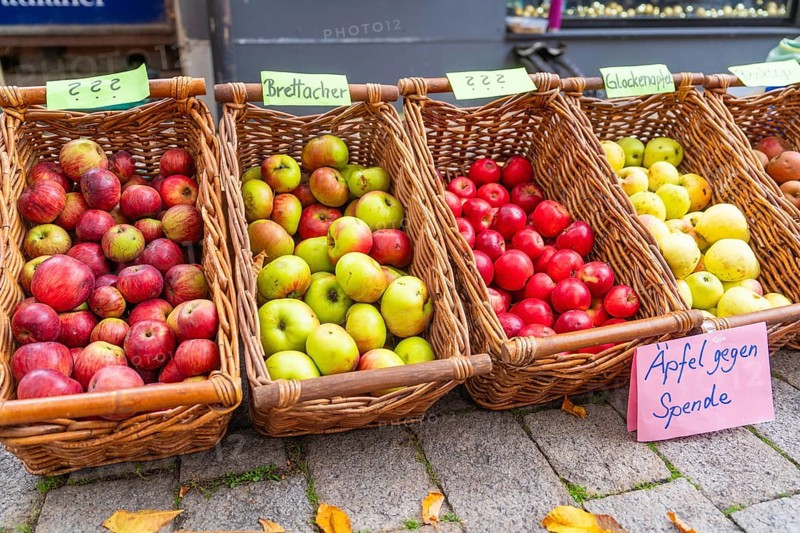 Apples in different colors in wicker baskets offered for donations at a street market, Streuobstmarkt, Sindelfingen, Böblingen district, Germany