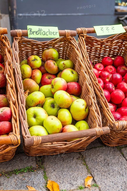 Baskets with various types of apples on display at a market, Streuobstmarkt, Sindelfingen, Böblingen district, Germany