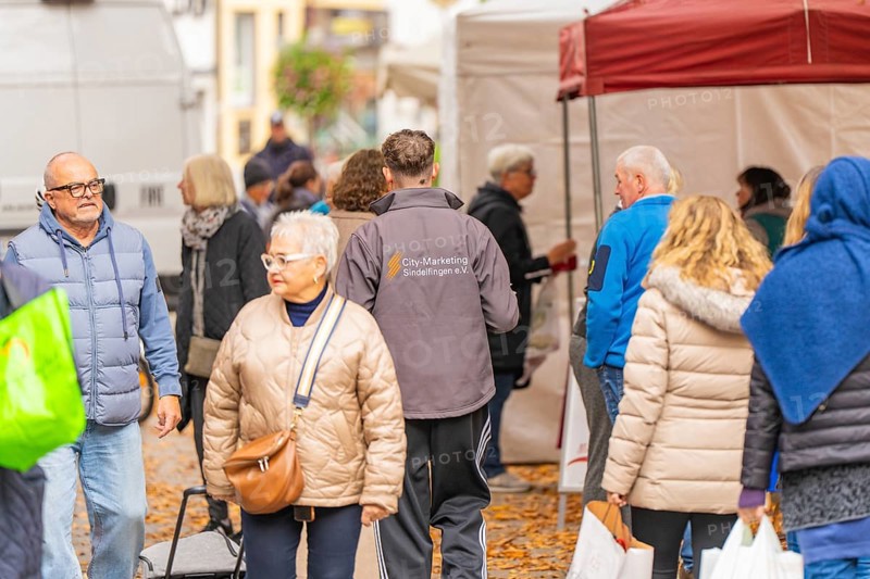 People wearing autumn clothes visit a market while the ground is covered with leaves, Streuobstmarkt, Sindelfingen, Böblingen district, Germany