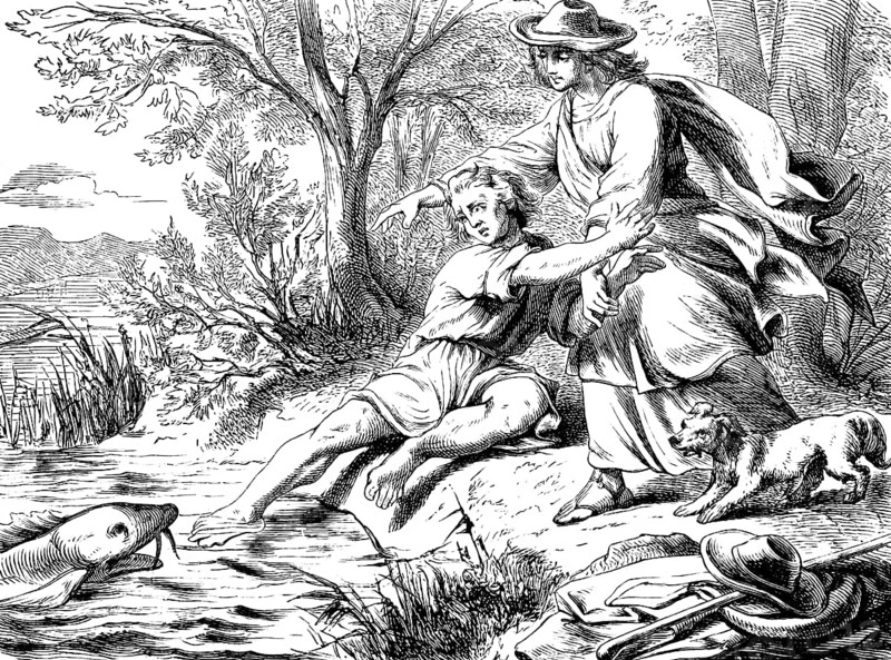 Tobias catches a strange fish in the Tigris, Oh Lord, he wants to eat me, The book of Tobias, chapter 6, riverbank, washing feet, angel, seizing, heart, bile, liver, medicine, roast, dog, natural landscape, Old Testament, Bible, historical illustration 1877