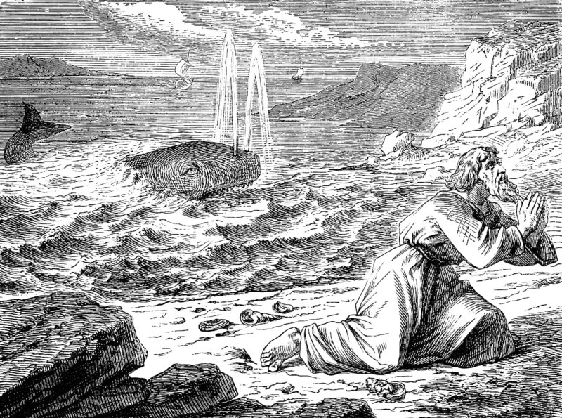 Jonah's salvation, The Prophet Jonah, chapter 2, salvation, sea, whale, beach, coast, waves, spew, flood, wave, cast out, life, doom, soul, prayer, God, thanksgiving, Old Testament, Bible, historical illustration 1877