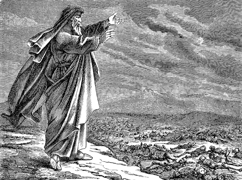 This is how the Lord speaks, wind, come here and blow at these killed people so that they come to life again, The Prophet Ezekiel, chapter 37, width, field, dead, legs, wither, God, bones, breath, flesh, skin, prophesy, tendons, veins, house of Israel, hope, Old Testament, Bible, historical illustration 1877
