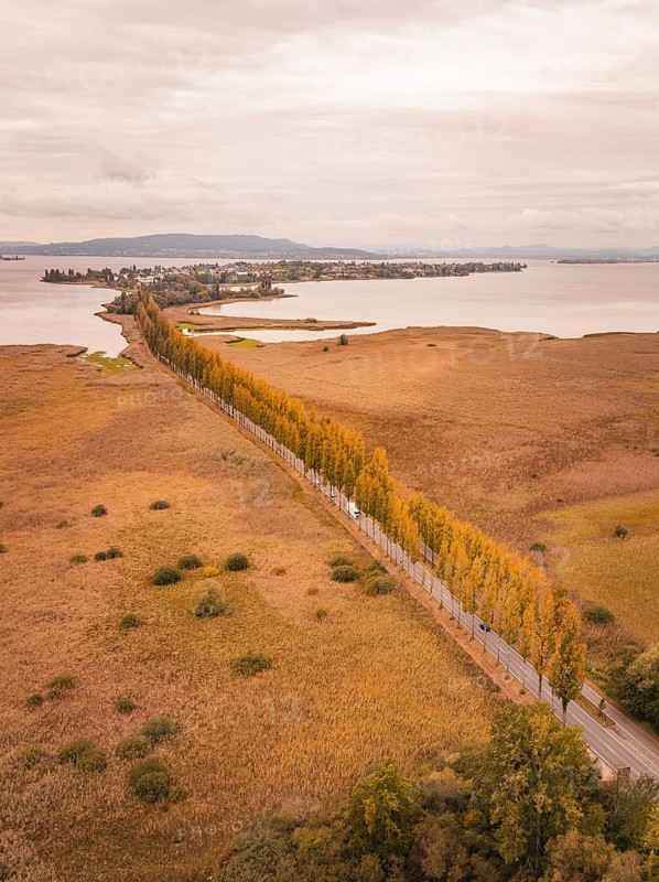 Long trail with orange trees along a lake under cloudy sky, Lindau, Lake Constance, Germany