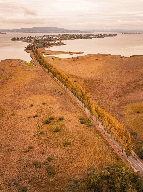 Autumn road with colorful trees in a wide lake landscape, Lindau, Lake Constance, Germany
