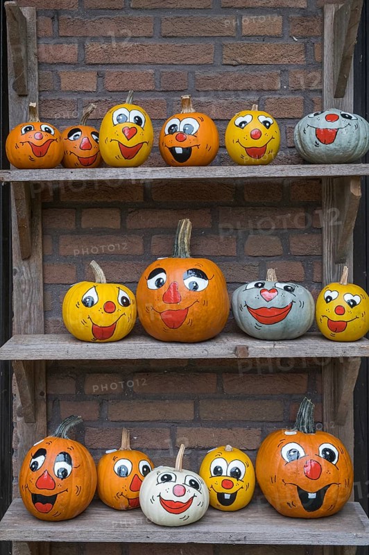Wooden rack with painted pumpkins, North Rhine-Westphalia, Germany
