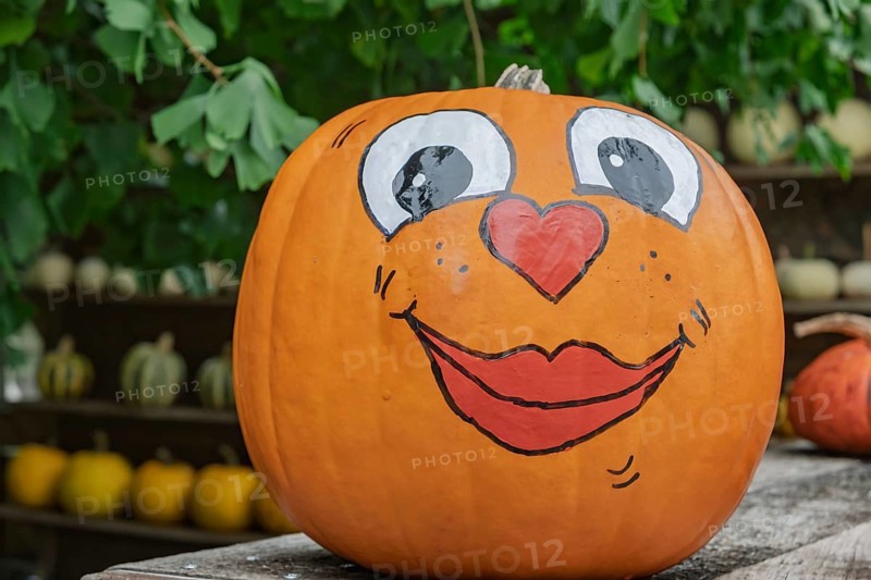Painted pumpkin with happy face, Münsterland, North Rhine-Westphalia, Germany