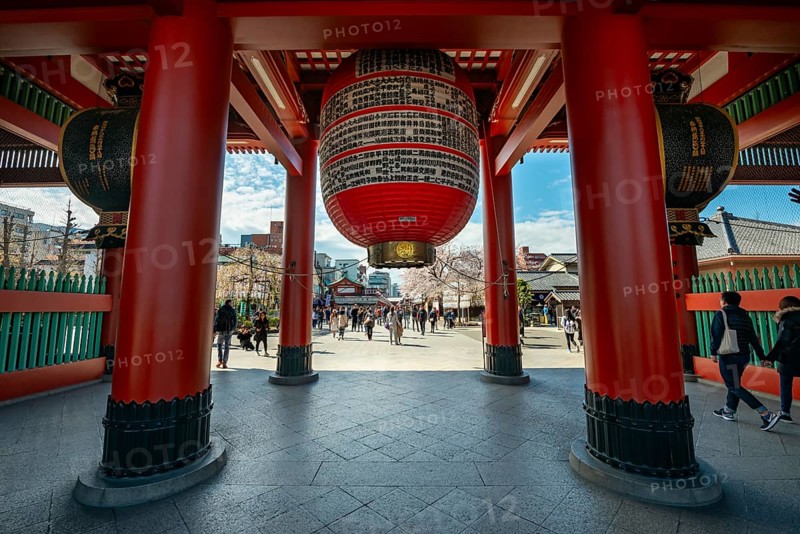 Huge red lantern in the Hozomon treasure chamber gate of Asakusa Shrine or Senso-ji Temple, Buddhist temple complex, Asakusa, Tokyo, Japan