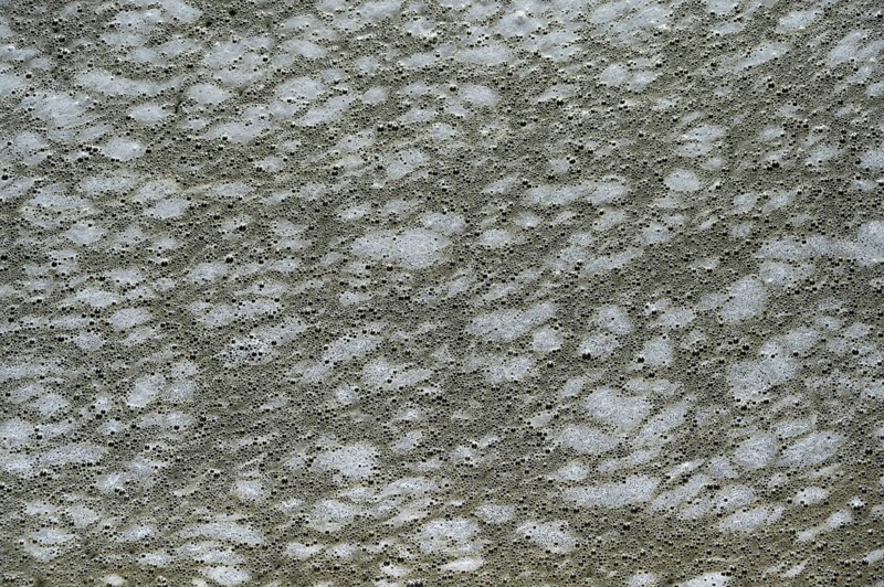 Structure of pollution in the port of Ahrenshoop, Darß, Baltic Sea, Mecklenburg-Western Pomerania, Germany