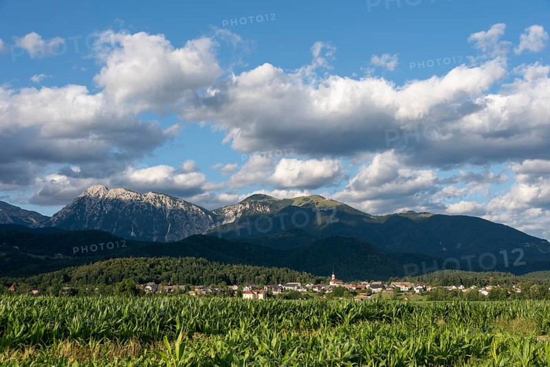 A Slovenian village is nestled between green fields and the imposing peaks of the Julian Alps near Kranj, Slovenia