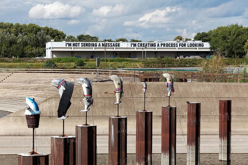 Art installation What If They Bark, fish sculptures by conceptual artist Cosima von Bonin, Urbane Künste Ruhr, Duisburg, North Rhine-Westphalia, Germany