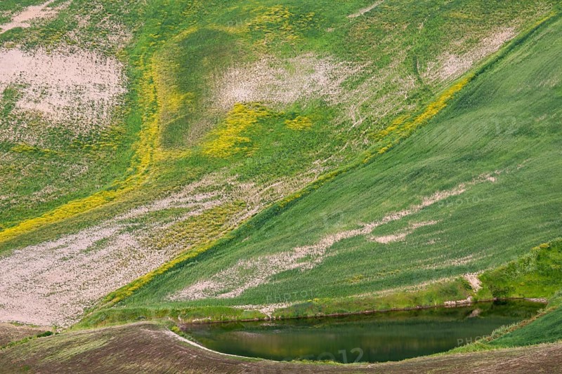 Green hills with gentle waves of grass conveys peace and harmony, Tuscany, Italy