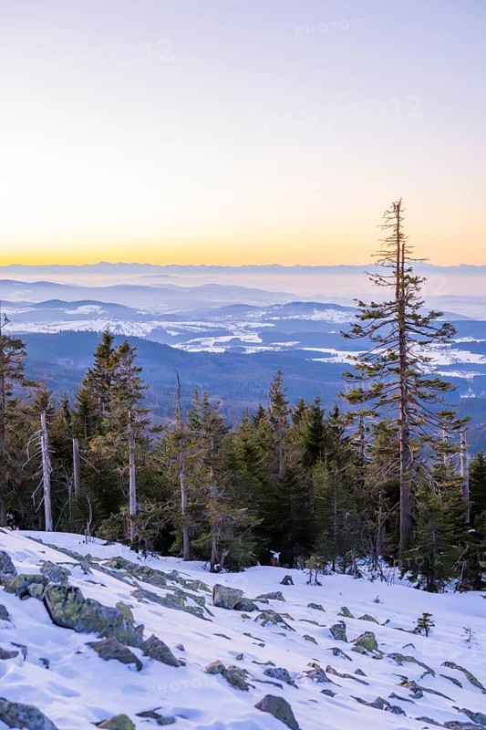 View from Mount Lusen over the hills of the bavarian forest at sunrise in winter, Bavaria, Germany
