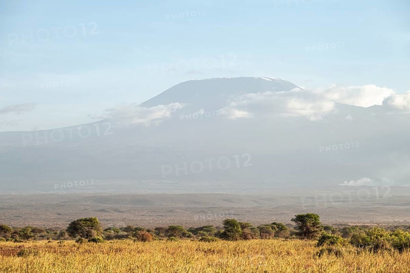African savanna and summit of Mount Kilimanjaro, in the evening light, Kajiado County, Kenya