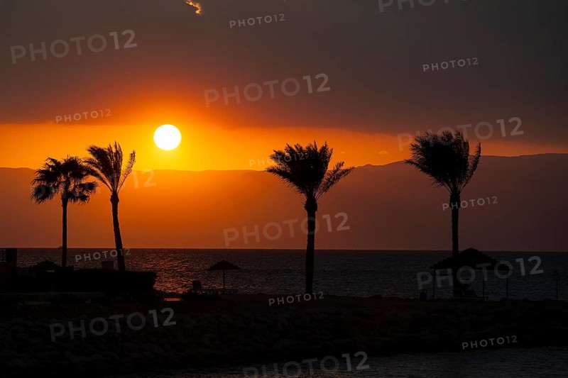 Atmospheric sunset view with four palm trees of Aqaba Jordanian shore east coast from across Red Sea on west coast in Israel near Eilat, Aqaba, Jordan