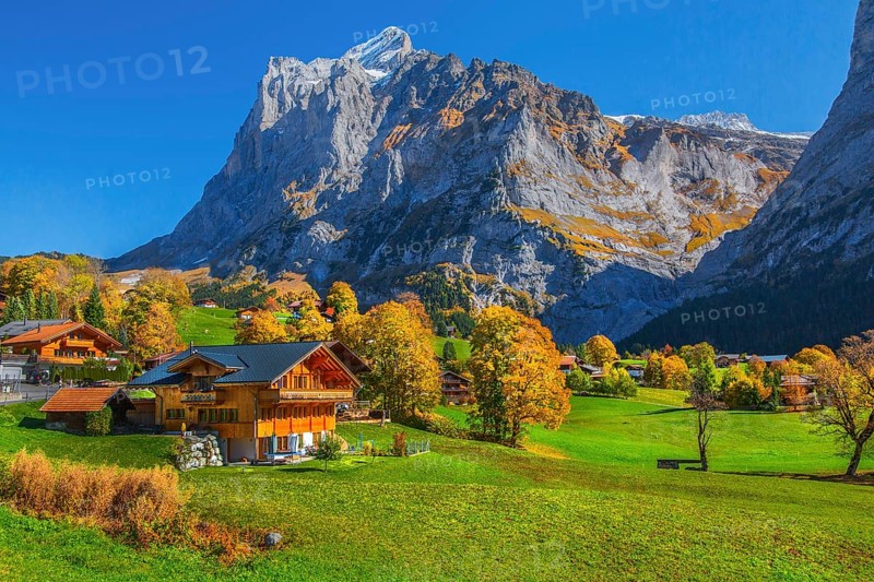 Typical rural and holiday homes with Wetterhorn 3690m in autumn, Grindelwald, Lütschinental, Bernese Oberland, Canton of Bern, Switzerland