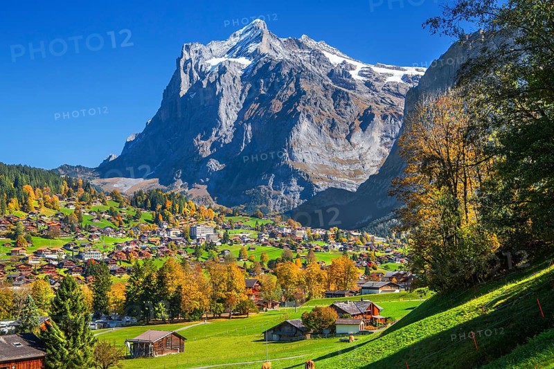 Autumn landscape with village overview and Wetterhorn 3690m, Grindelwald, Lütschinental, Bernese Oberland, Canton of Bern, Switzerland
