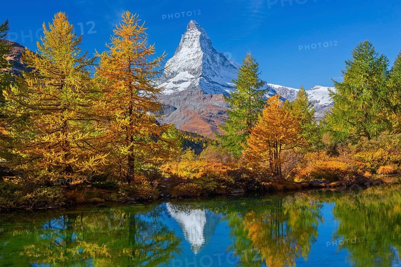 Matterhorn 4478 m with reflection in Lake Grindji in autumn, Zermatt, Mattertal, Valais, Switzerland