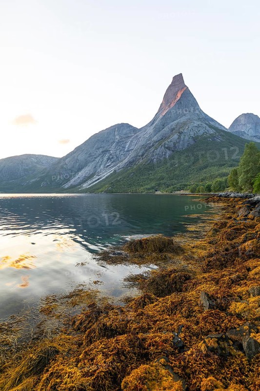 Stetind is illuminated by the first rays of sunshine. Morning light with seaweed on the banks of Tysfjord