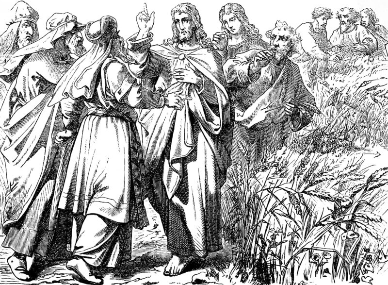 The healing of the dried hand on the Sabbath, Gospel of Mark, chapter 3, healing, doing good on the Sabbath, keeping life, cornfield, group, New Testament, Bible, historical illustration 1877