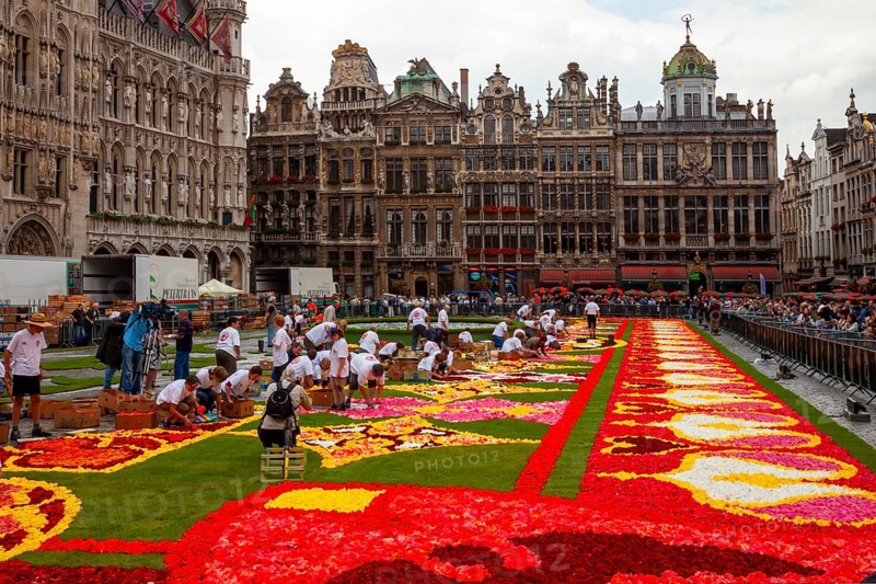 The Grand Place or Grote Markt has been decorated with a carpet of flowers every 2 years since 1971, Brussels, Belgium