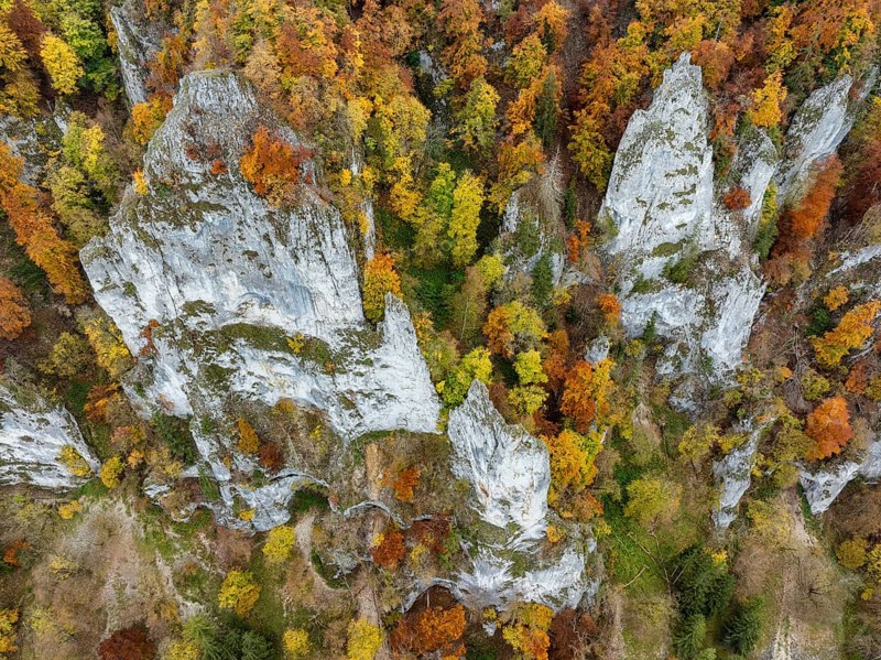 Aerial view, top down view of distinctive rock towers, Weissjura, Jurassic limestone cliffs, limestone rocks, surrounded by autumn vegetation, mixed forest, beech forest, upper Danube valley, Sigmaringen district, Baden-Württemberg, Germany