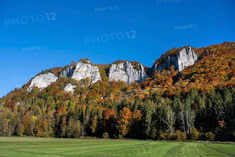 View across the Danube to the distinctive Hausener Zinnen, climbing rocks, Jurassic limestone cliffs, Weissjura, Jura rocks, limestone rocks, surrounded by autumnal vegetation, Hausen im Tal, Upper Danube Valley, Baden-Württemberg, Germany