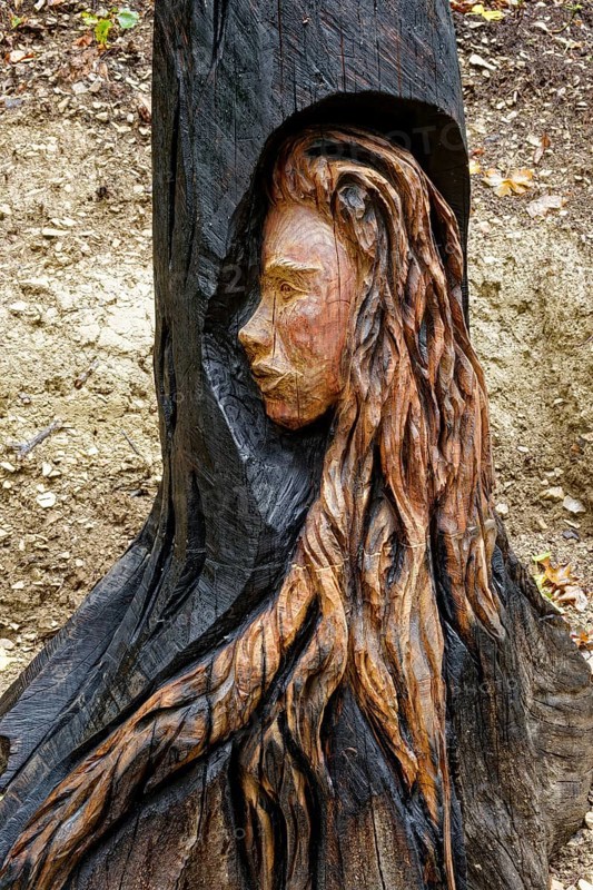 Wooden sculpture The Face of Urschel, Pfullinger Sagenweg, stories and legends, by woodsaw artist Billy Tröge, Ursulaberg, Pfullingen, Baden-Württemberg, Germany