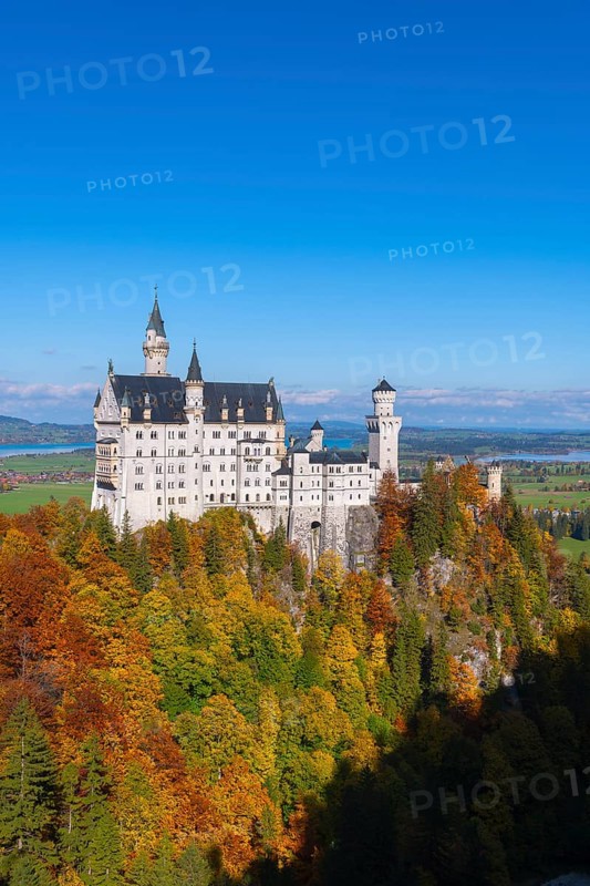 The impressive Neuschwanstein Castle rises above autumn trees against a clear sky, Schwangau, Königswinkel, Ostallgäu, Allgäu, Swabia, Bavaria, Germany