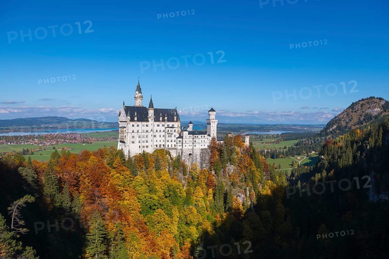 The magnificent Neuschwanstein Castle is enthroned over colorful forests with a bright blue sky, Schwangau, Königswinkel, Ostallgäu, Allgäu, Swabia, Bavaria, Germany