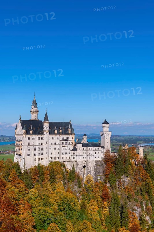 Neuschwanstein Castle stands majestically with autumnal forest in the foreground under clear skies, Schwangau, Königswinkel, Ostallgäu, Swabia, Bavaria, Germany