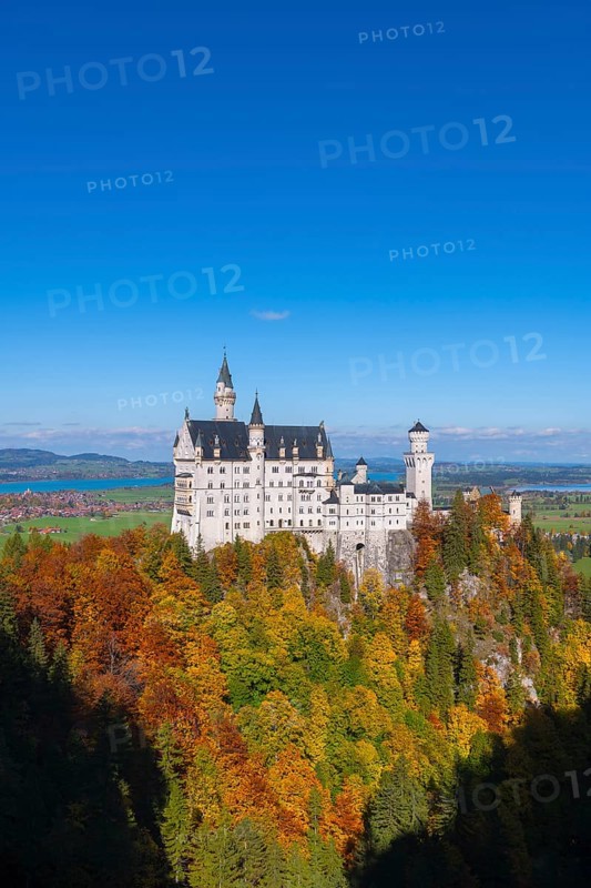 Neuschwanstein Castle overlooks the autumn trees and blends harmoniously into the landscape, Schwangau, Königswinkel, Ostallgäu, Allgäu, Swabia, Bavaria, Germany